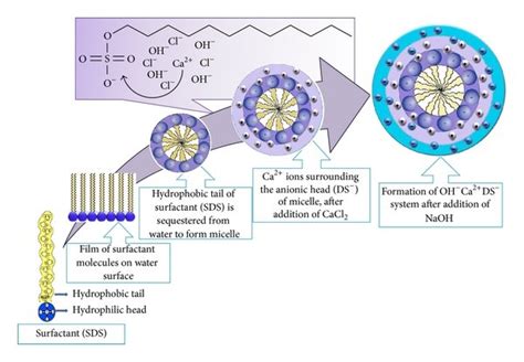 mechanism of micelle formation.